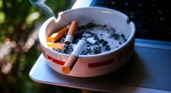 Image by Nabil Maaizi from Pixabay