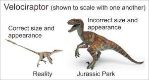 Velociraptor