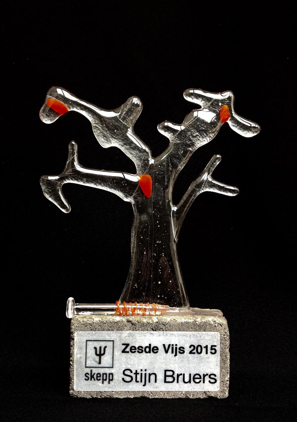 Trofee Zesde Vijs 2015